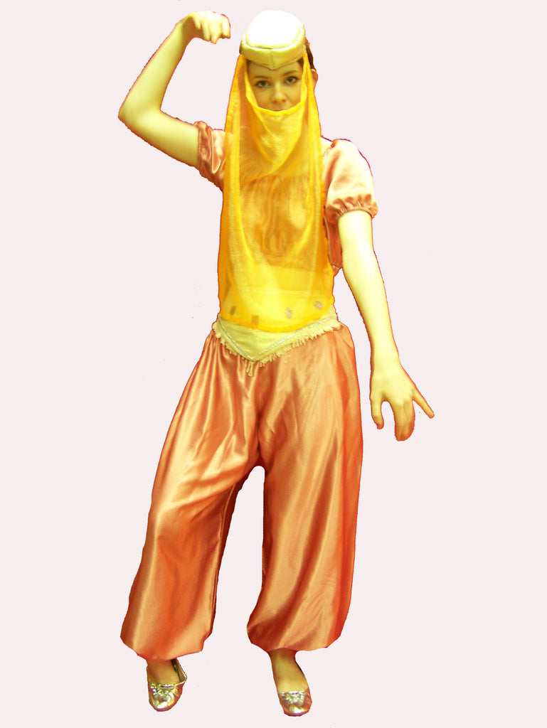 Genie Ex Rental Costume €12.50 CostumeCorner.ie