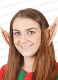Pixie Elf Ears