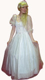 Cinderella Dress- Ex Rental