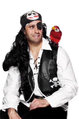 Parrot Pirate